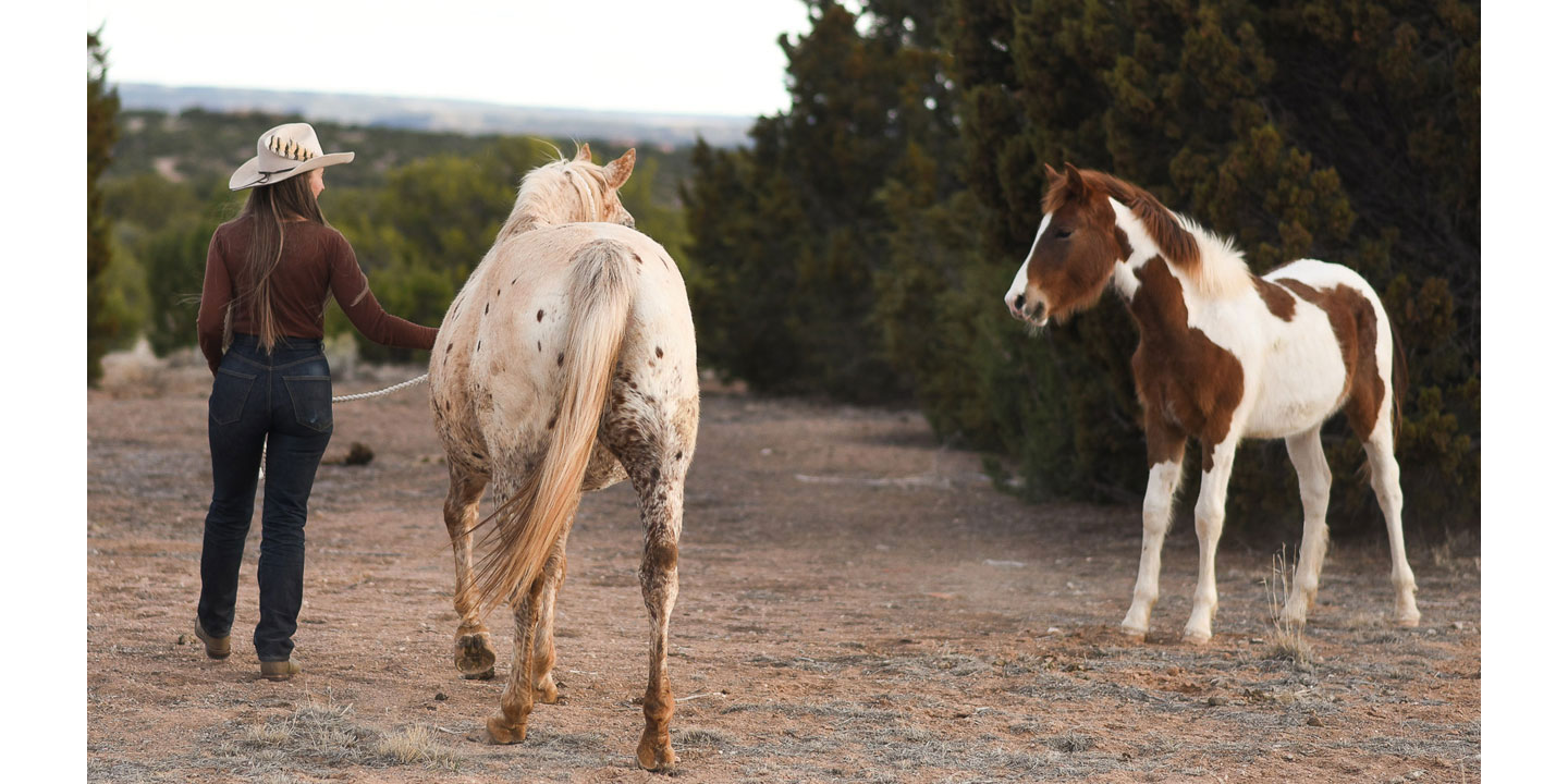 A woman, Stella Maria Baer, wearing a tan cowboy hat and leading an appaloosa horse away from the camera towards the trees and a baby paint horse on the right.